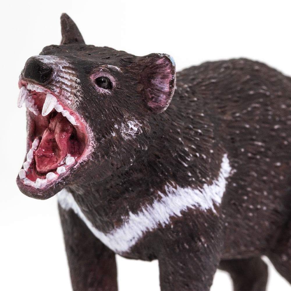 Figurină realistă Diavol tasmanian – Safari Ltd