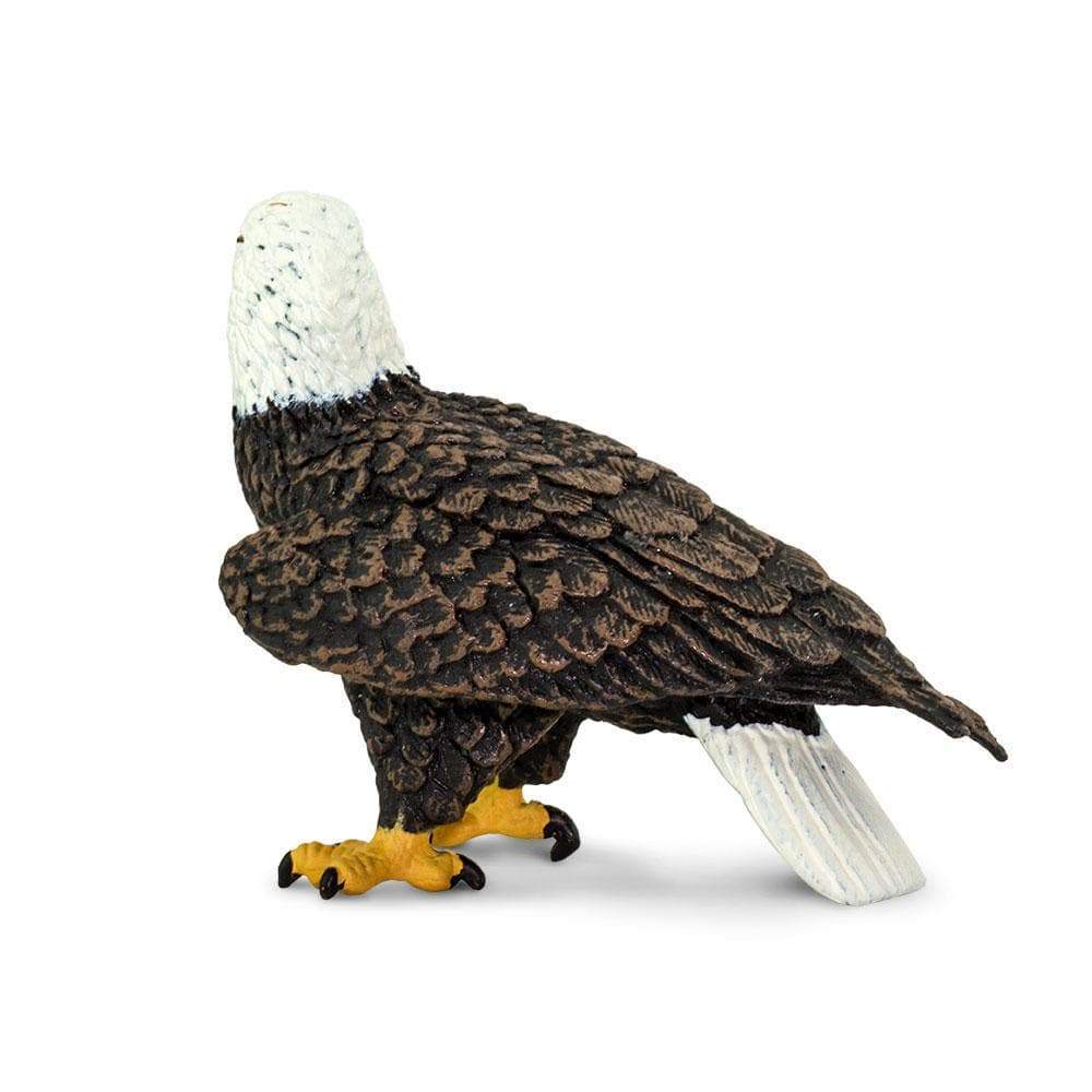 Figurină realistă vultur pleșuv – Safari Ltd