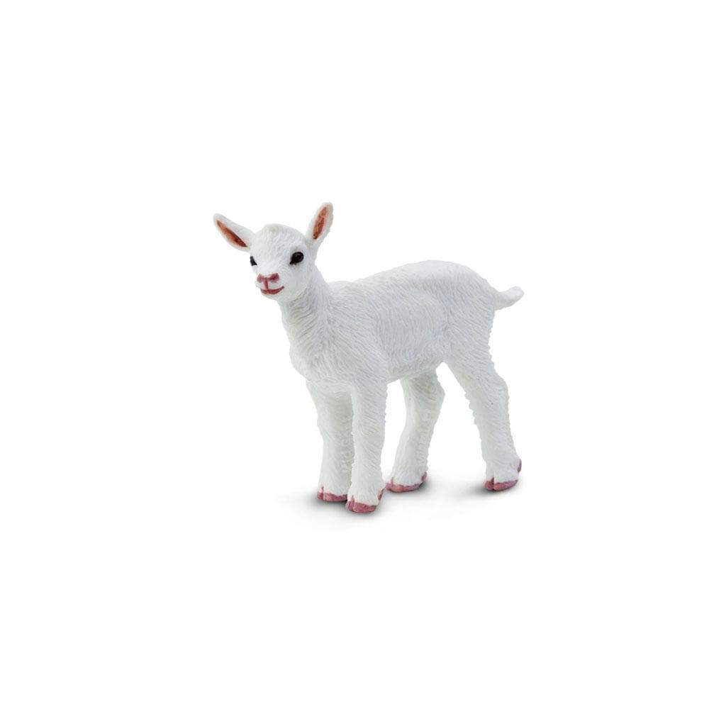 Figurină realistă ied – Safari Ltd