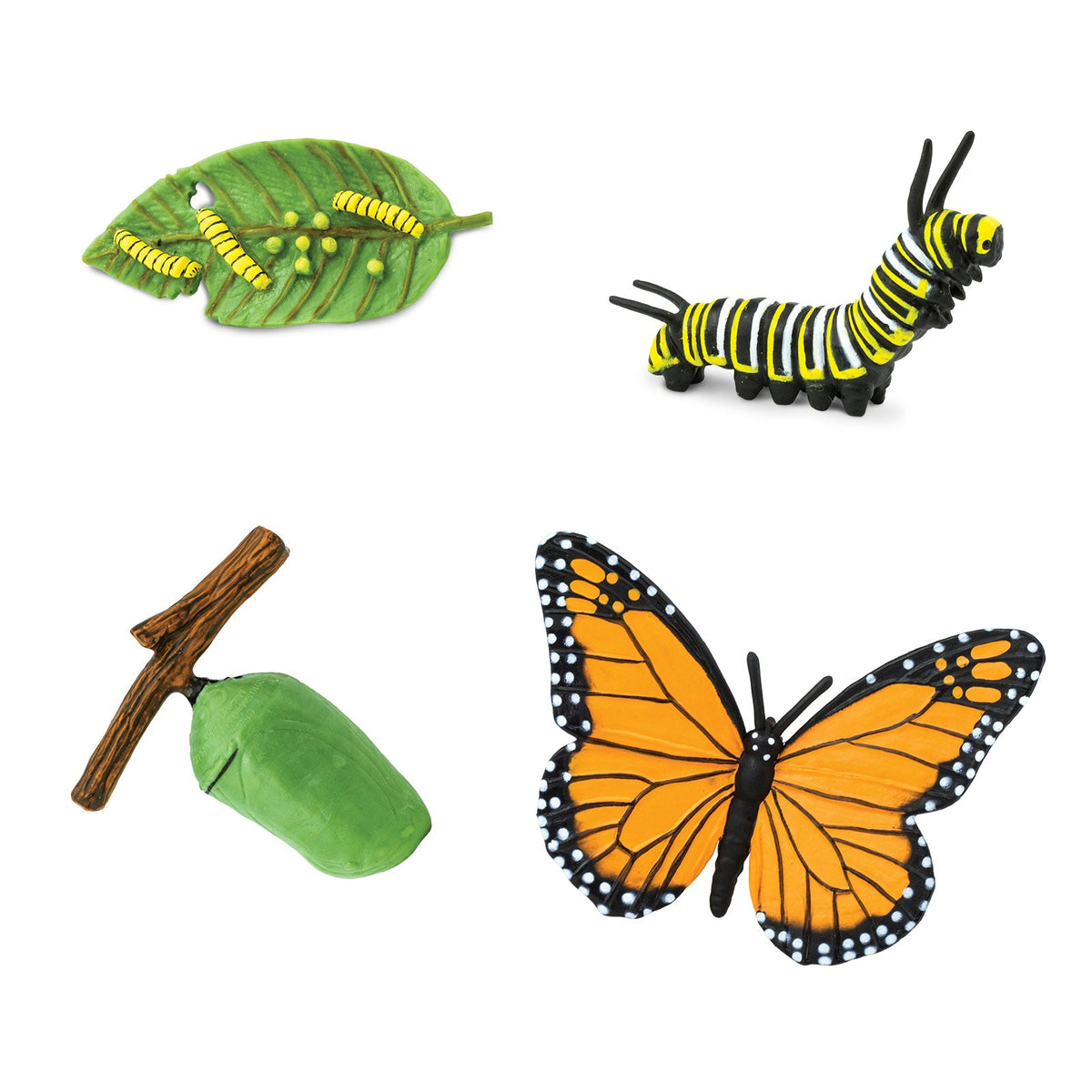 Ciclu de viață al fluturelui monarh, 4 piese – Safari Ltd
