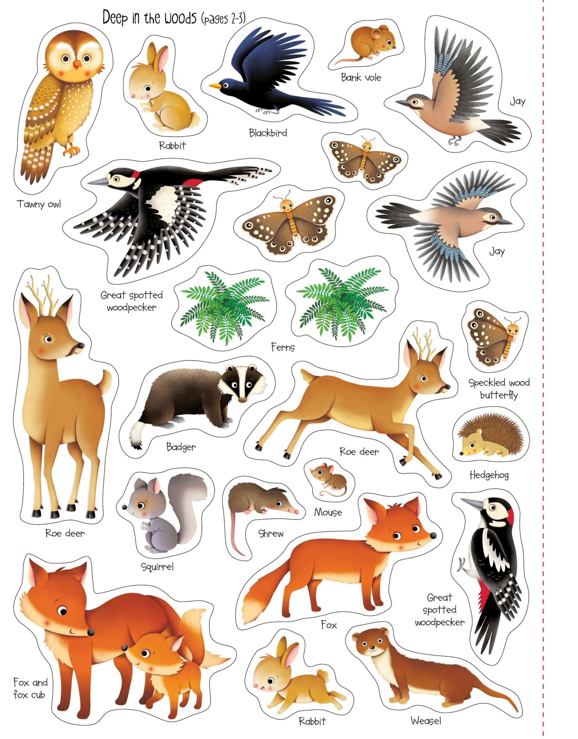First Sticker Book Nature, carte cu stickere - Usborne