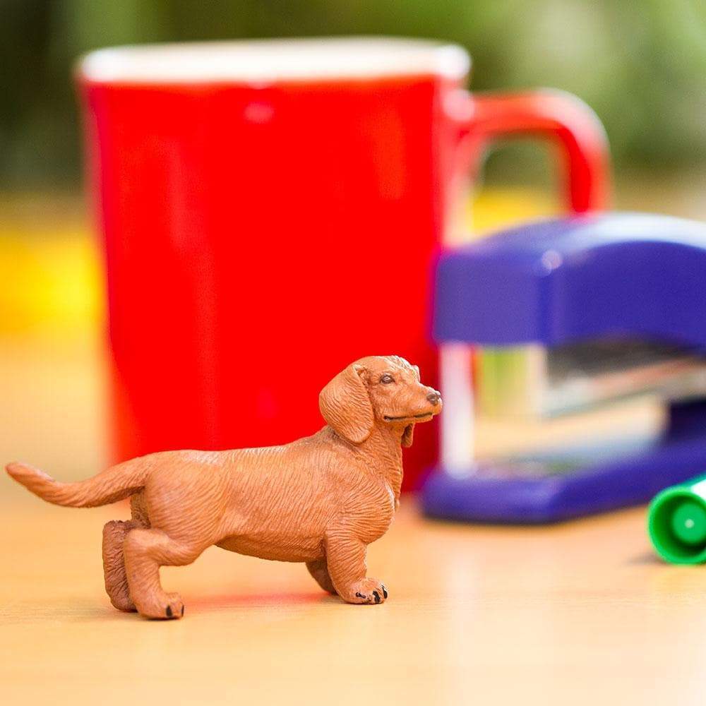 Figurină realistă câine Dachshund – Safari Ltd