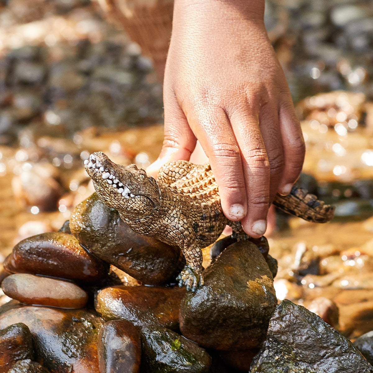Figurină realistă crocodil - Schleich