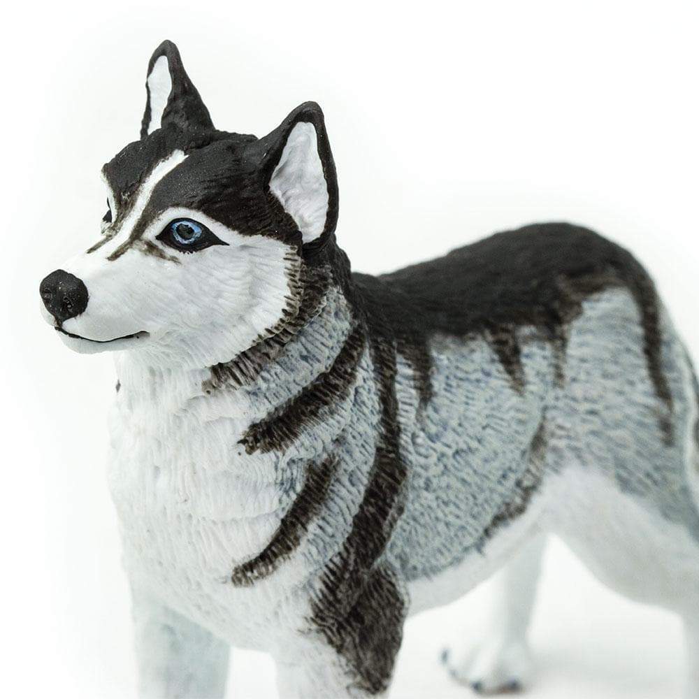 Figurină realistă câine Husky– Safari Ltd