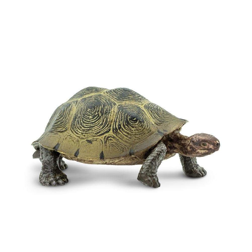 Figurină broască țestoasă de deșert, 8,3 cm – Safari Ltd