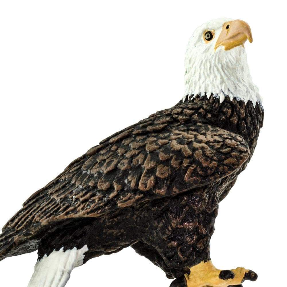 Figurină realistă vultur pleșuv – Safari Ltd