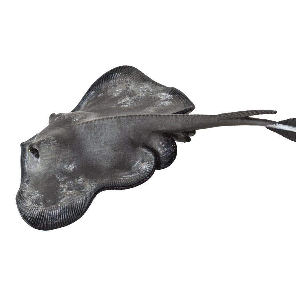 Figurină realistă pisică de mare – Safari Ltd