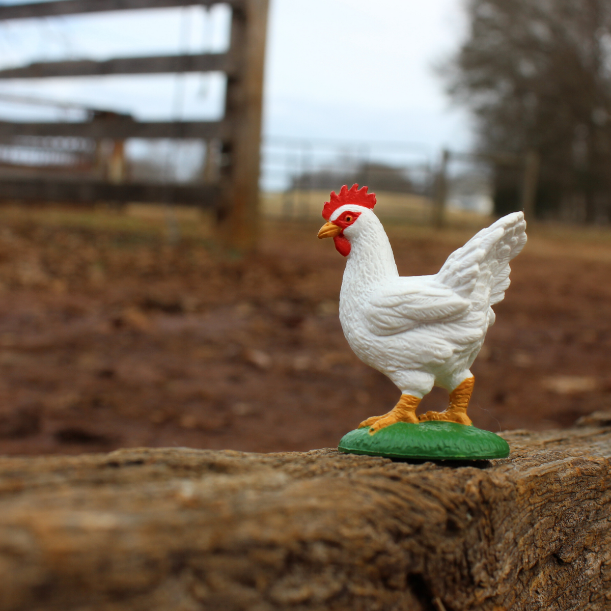Figurină realistă găină Leghorn - Safari Ltd.