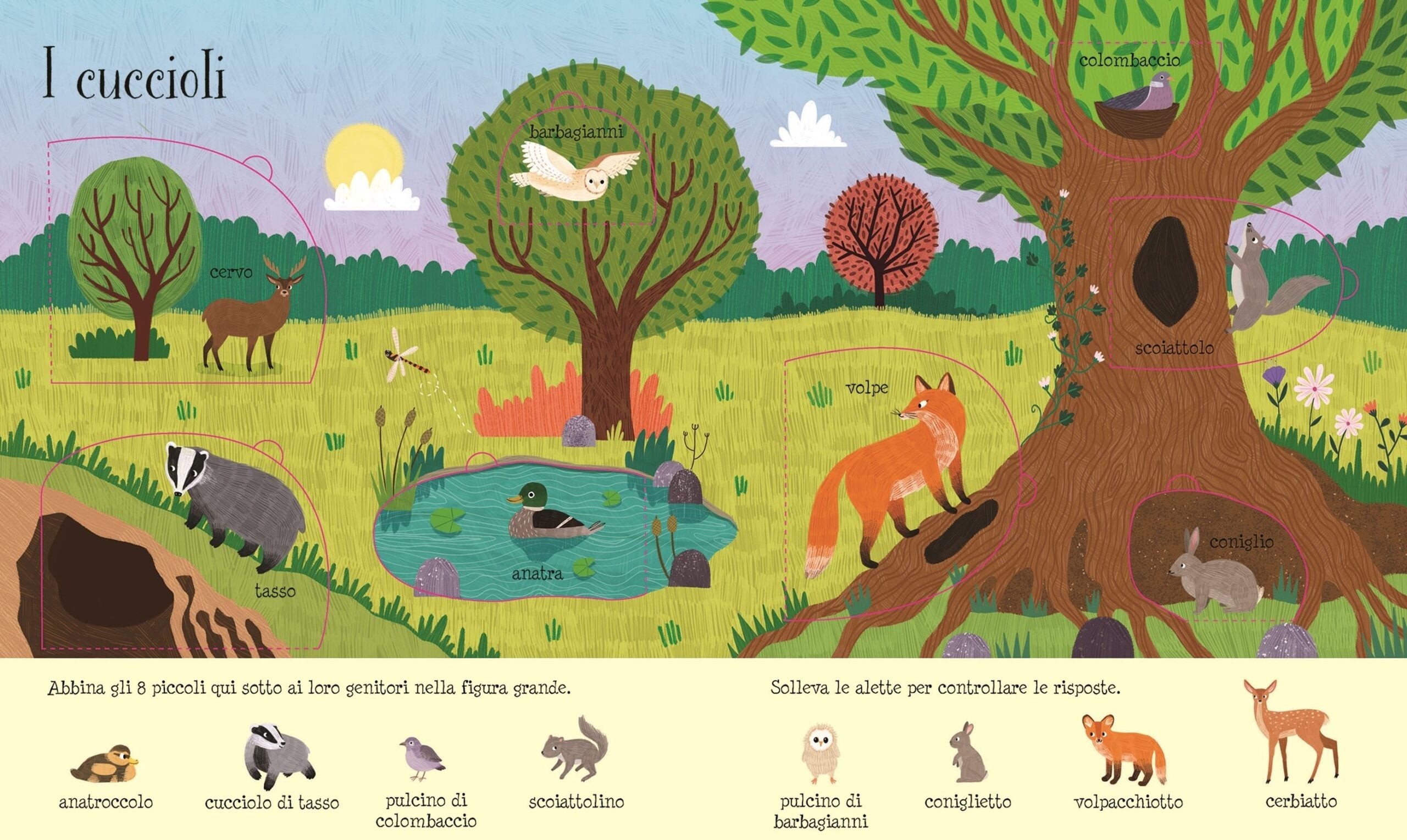 Lift-the-Flap Nature, carte cu clapete - Usborne