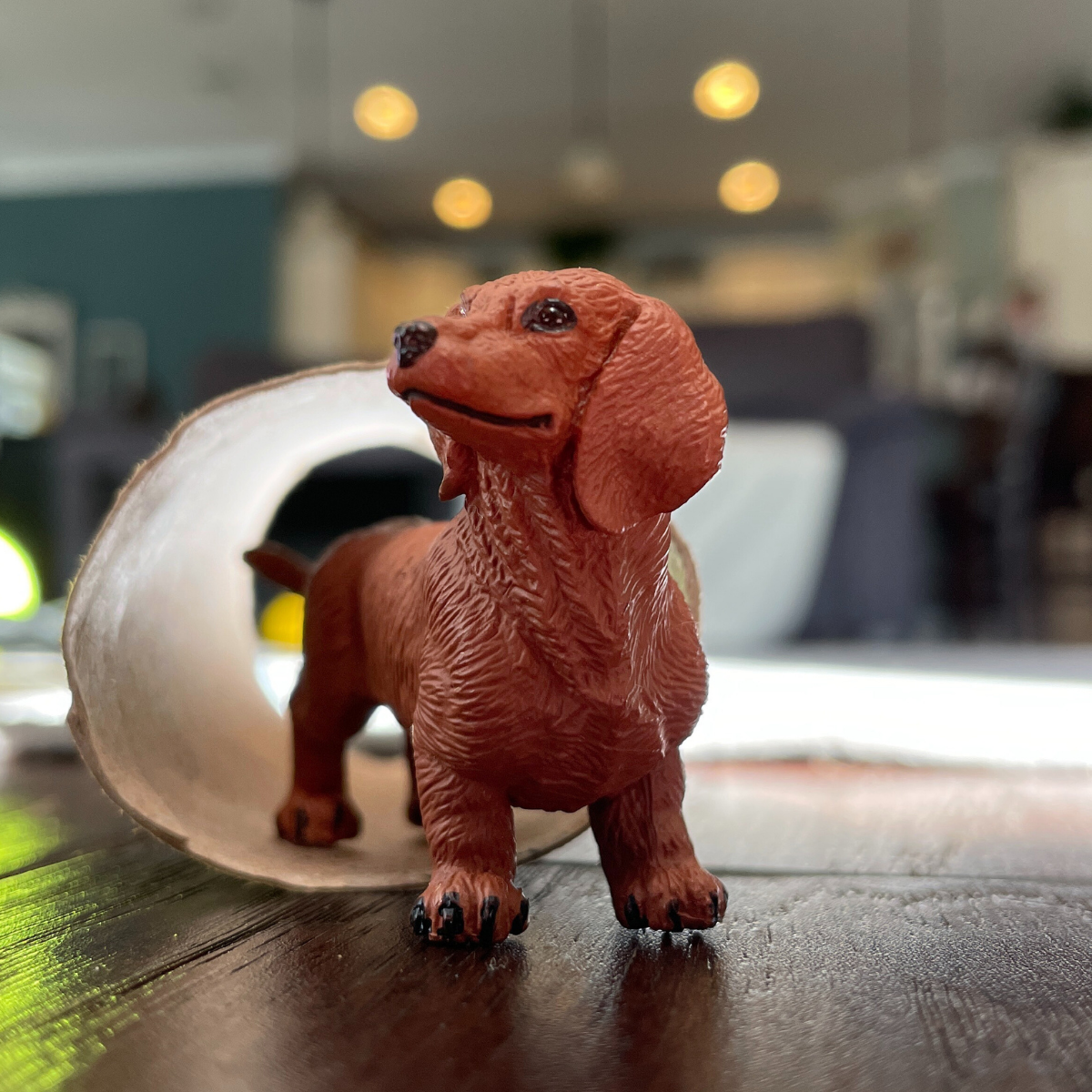Figurină realistă câine Dachshund – Safari Ltd