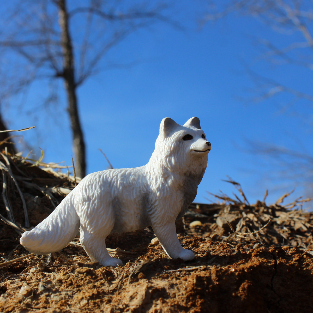 Figurină realistă vulpe polară  – Safari Ltd