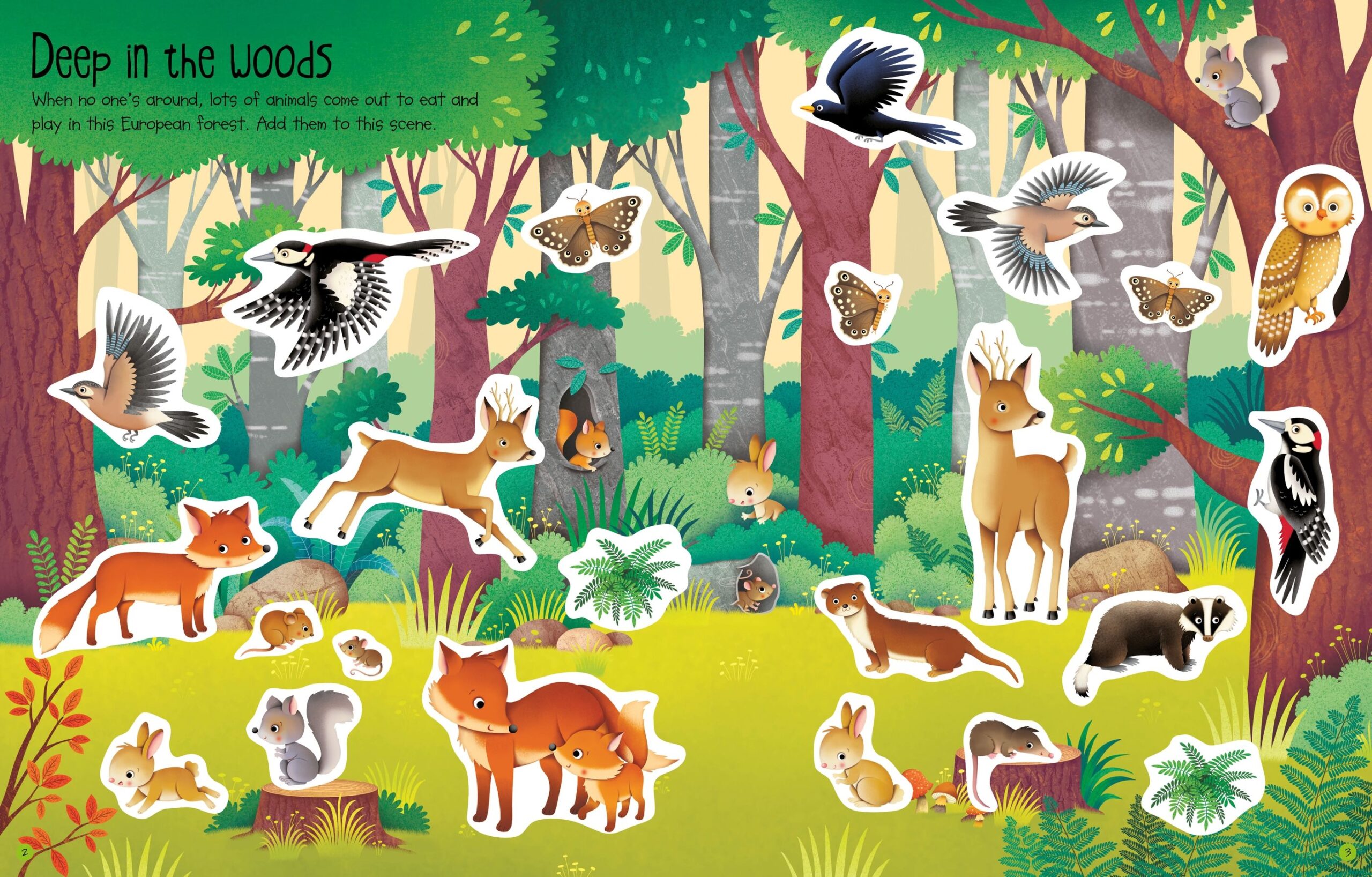 First Sticker Book Nature, carte cu stickere - Usborne