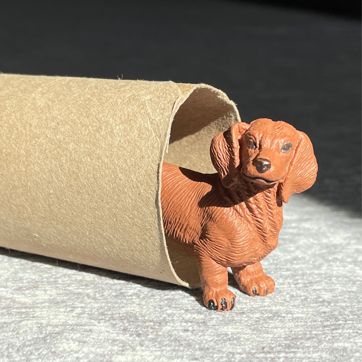 Figurină realistă câine Dachshund – Safari Ltd