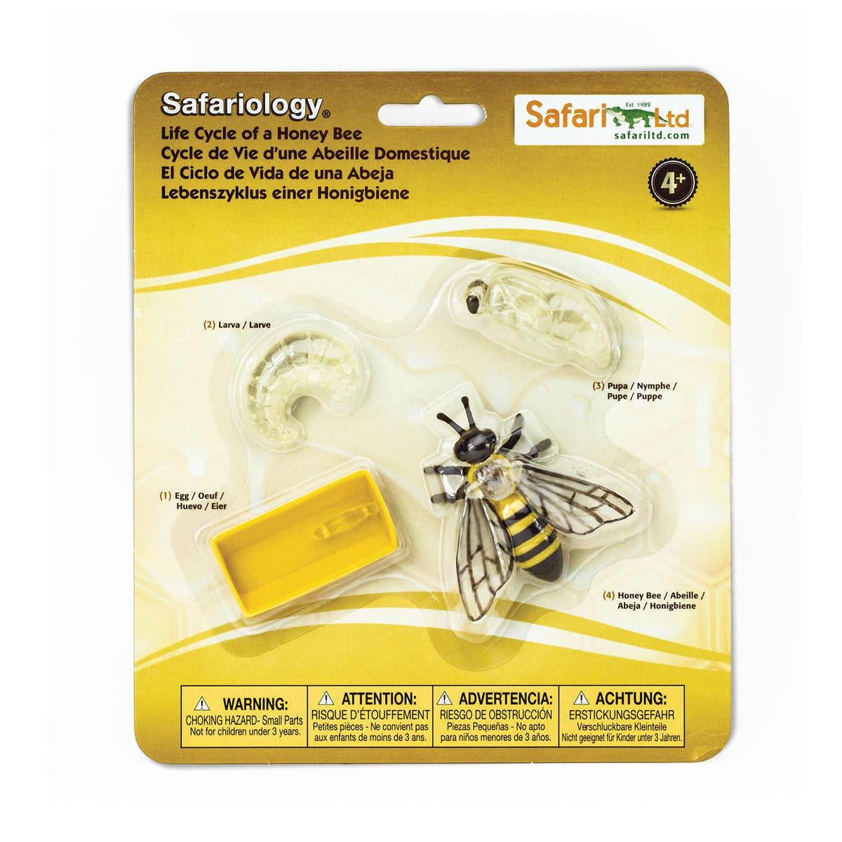 Figurine ciclul de viață al albinei, set de 4 – Safari Ltd