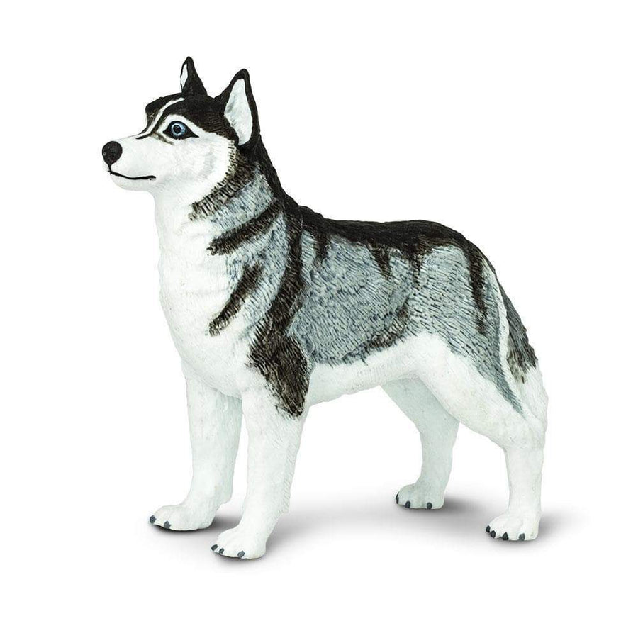 Figurină realistă câine Siberian Husky, 8,3 cm – Safari Ltd