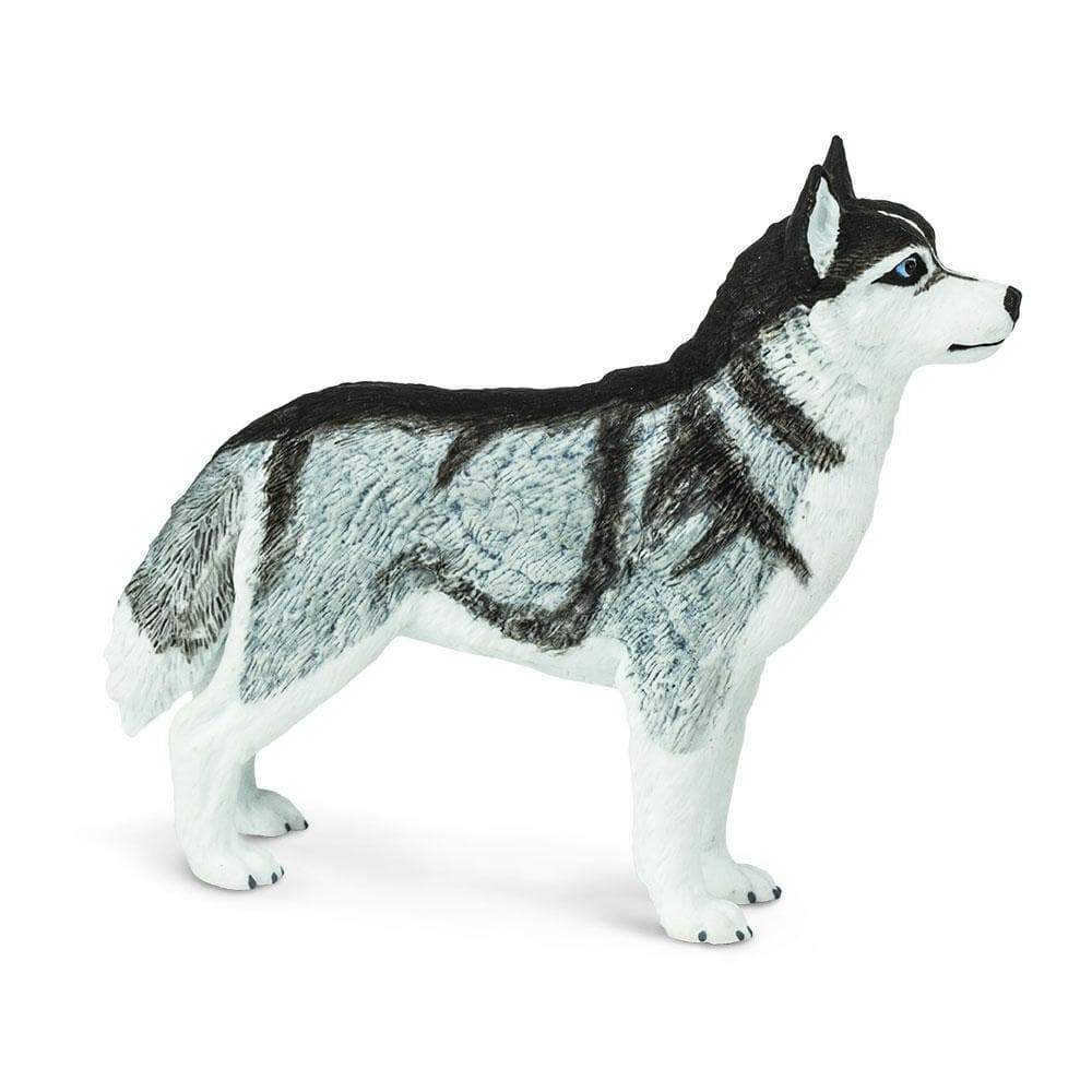 Figurină realistă câine Husky– Safari Ltd