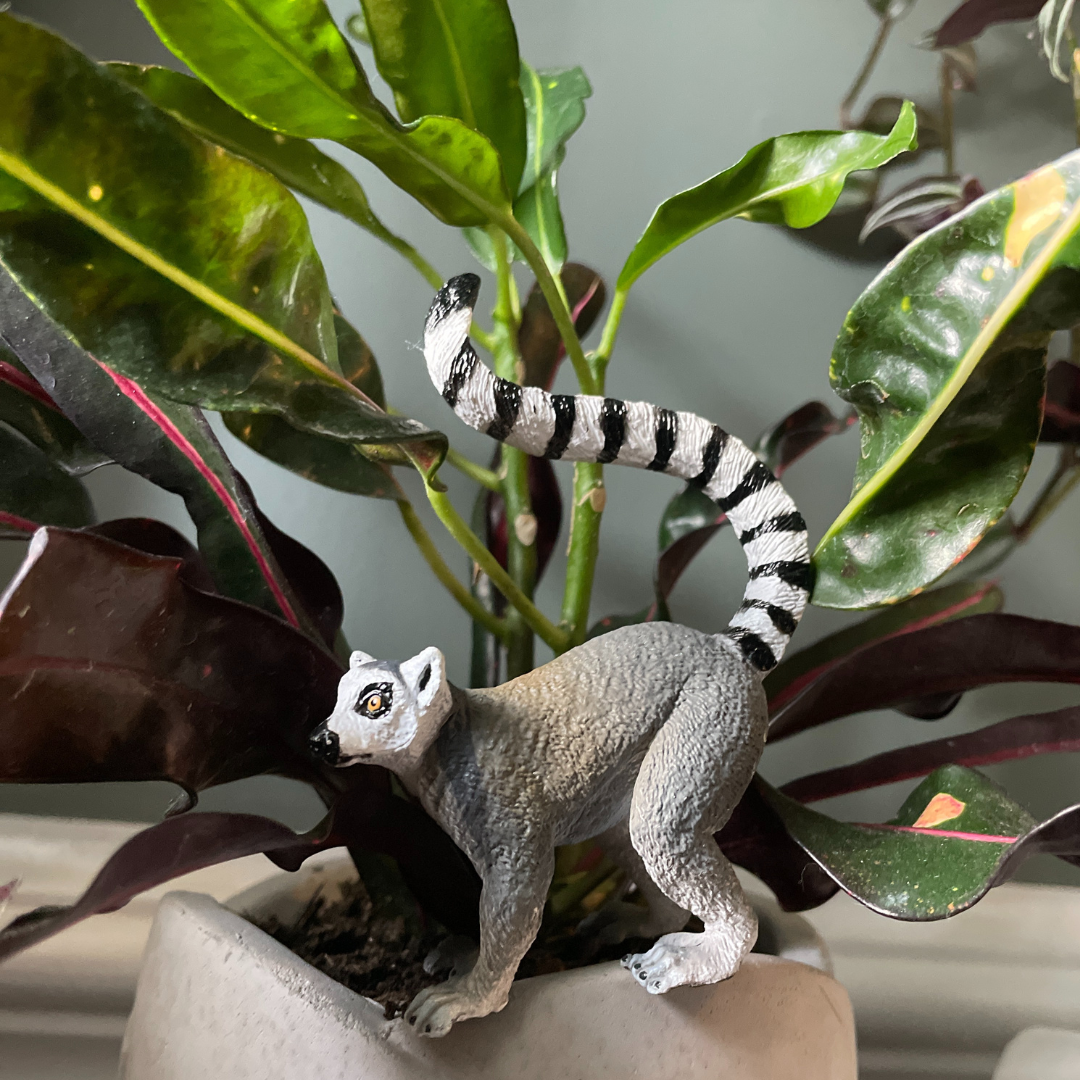 Figurină realistă lemur cu coadă inelată – Safari Ltd