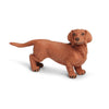Figurină realistă câine Dachshund – Safari Ltd