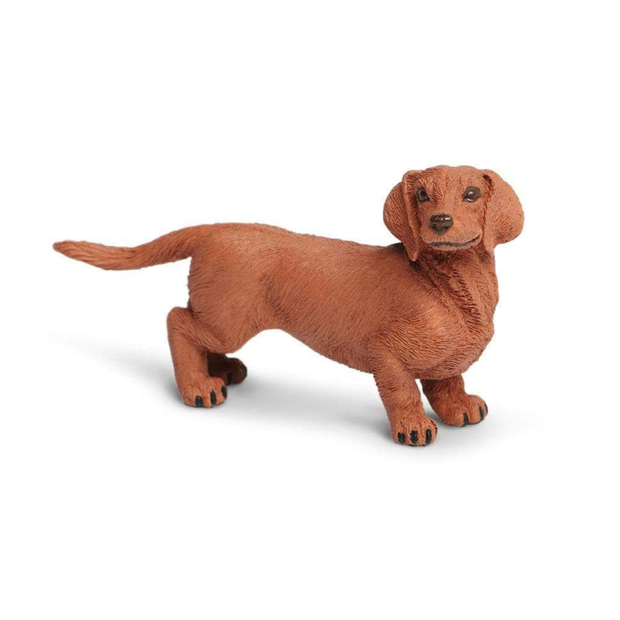 Figurină realistă câine Dachshund, 9,5 cm – Safari Ltd