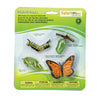 Ciclu de viață al fluturelui monarh, 4 piese – Safari Ltd