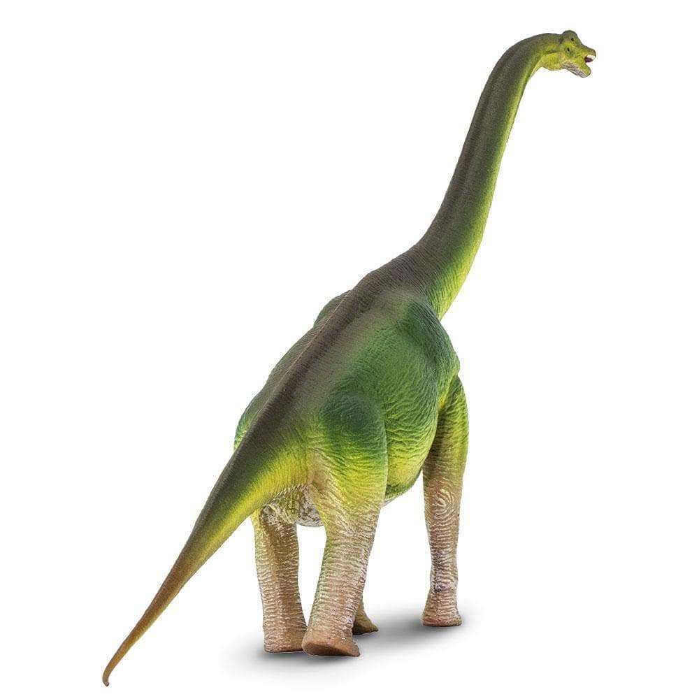 Figurină realistă Dinozaur Brachiosaurus - Safari Ltd