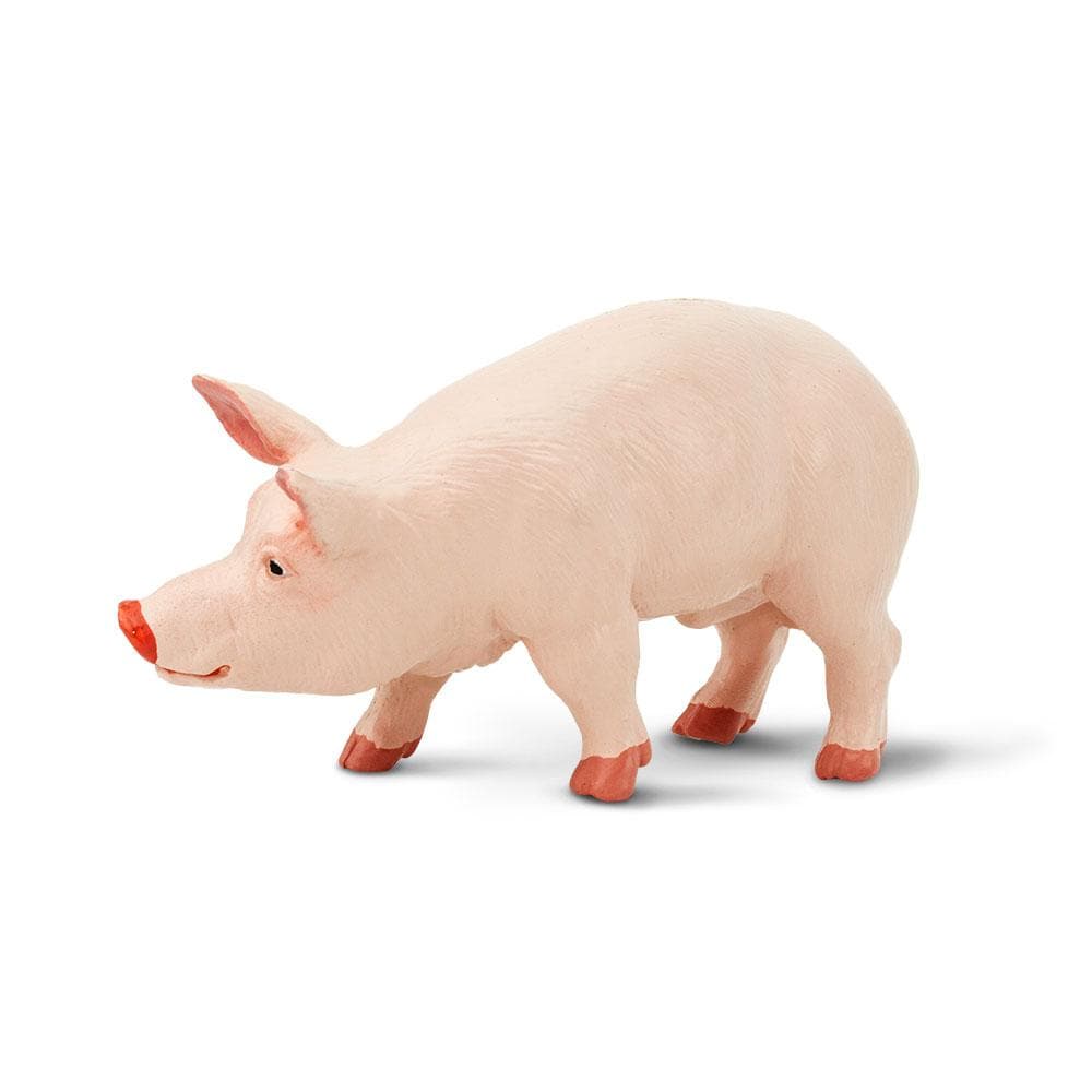 Figurină porc mascul - Safari Ltd.