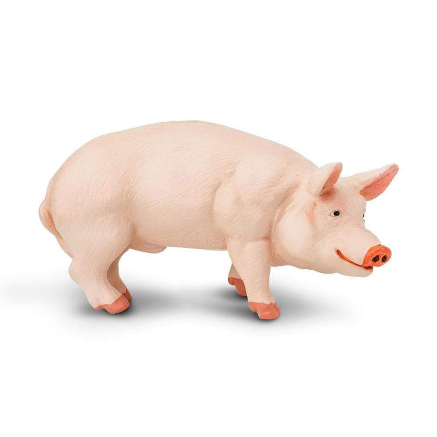 Figurină porc mascul - Safari Ltd.