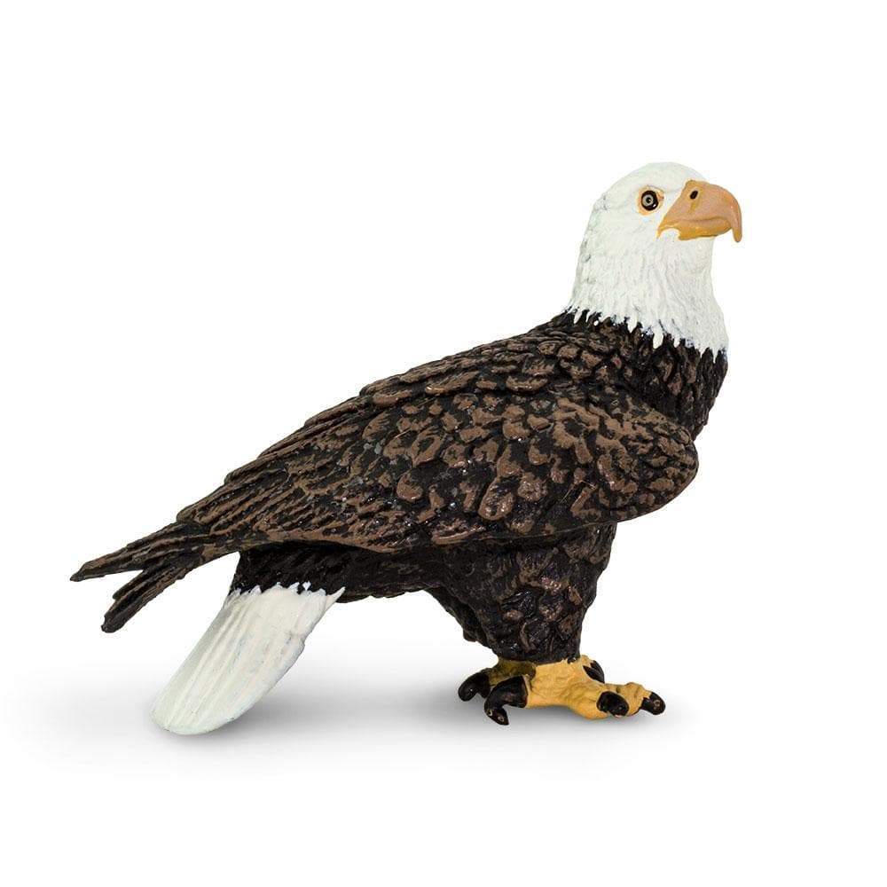 Figurină realistă vultur pleșuv – Safari Ltd