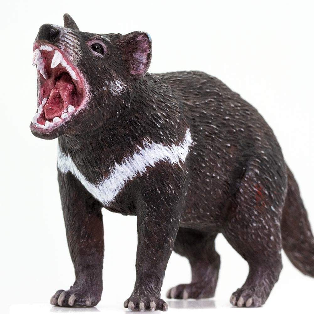 Figurină realistă Diavol tasmanian – Safari Ltd