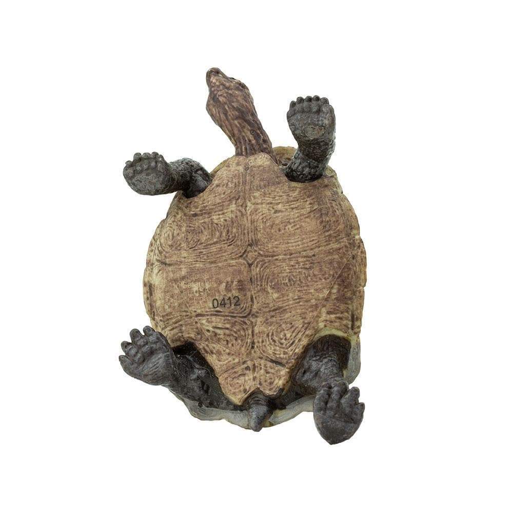Figurină realistă broască țestoasă de deșert – Safari Ltd