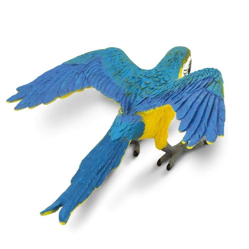 Figurină realistă Papagal cu pieptul galben – Safari Ltd