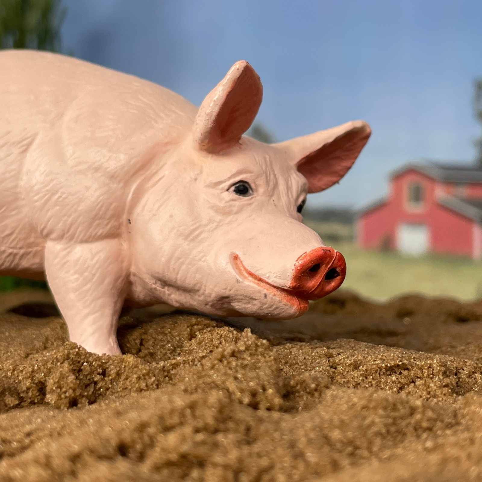 Figurină porc mascul - Safari Ltd.