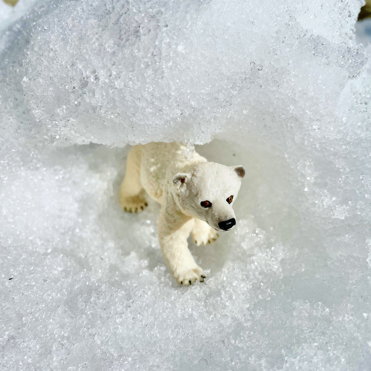 Figurină realistă pui de urs polar – Safari Ltd