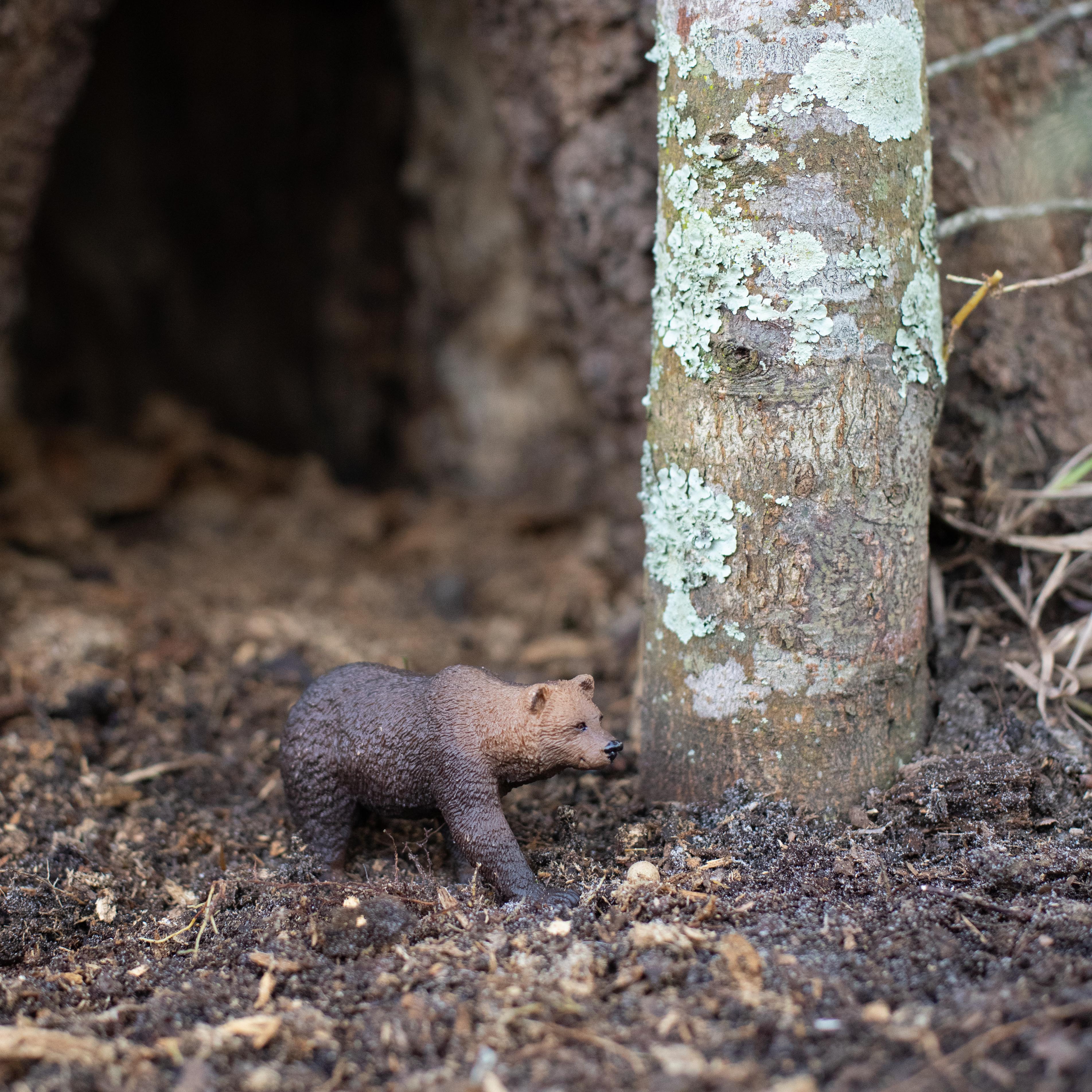 Figurină realistă urs grizzly - Safari Ltd.