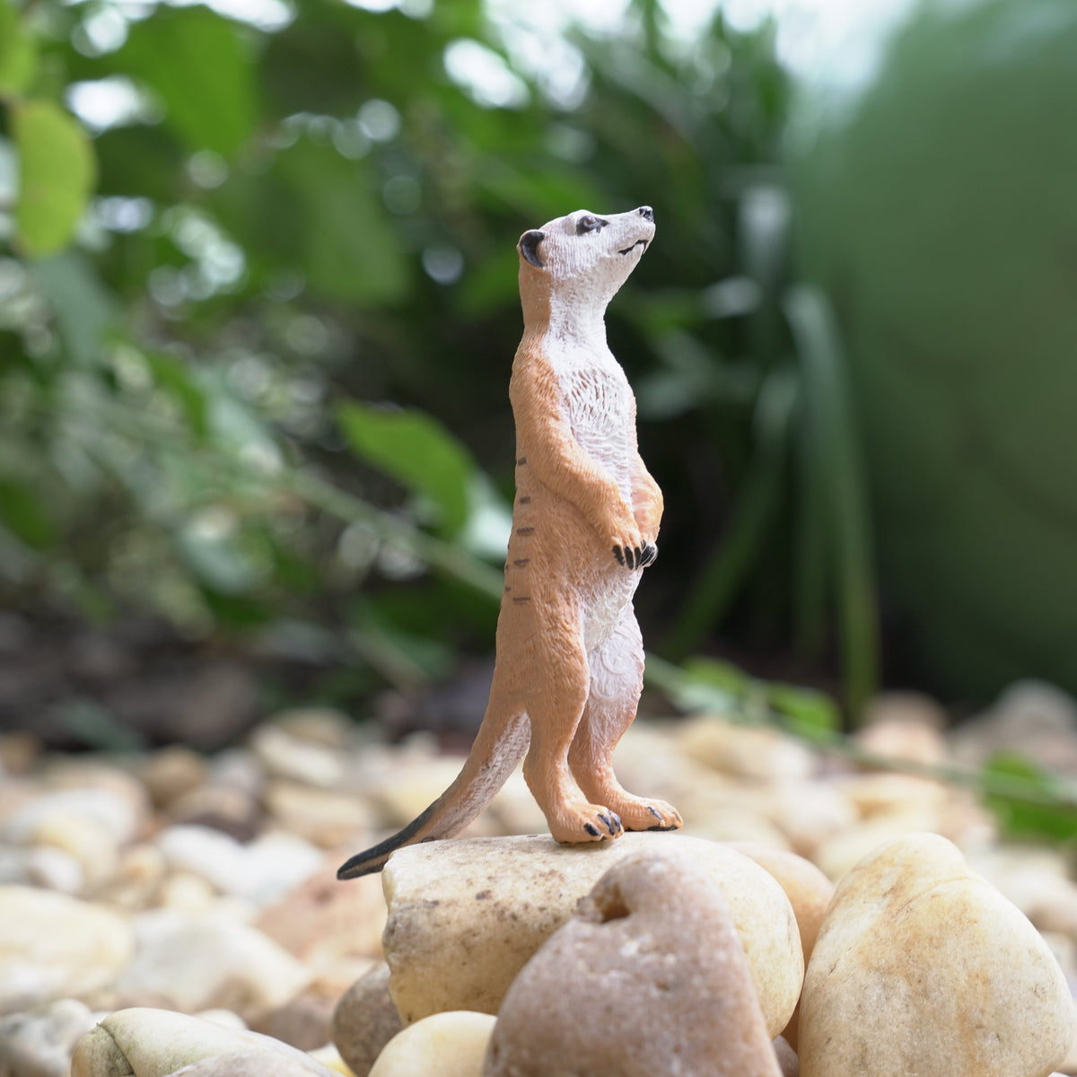 Figurină realistă suricată  – Safari Ltd