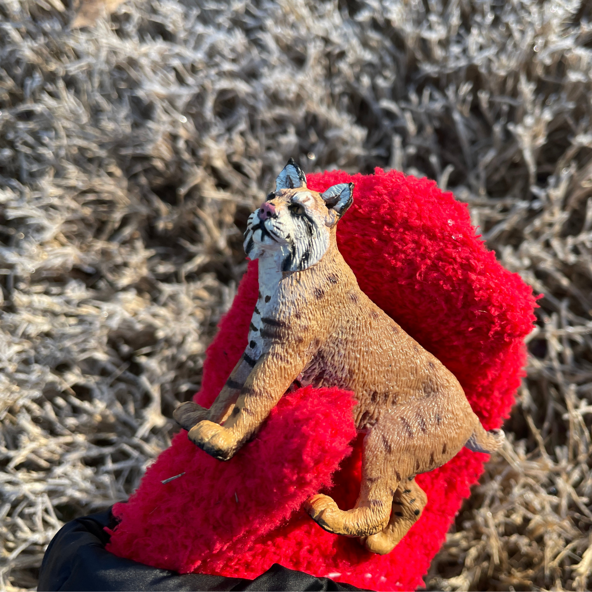 Figurină realistă râs roșcat – Safari Ltd