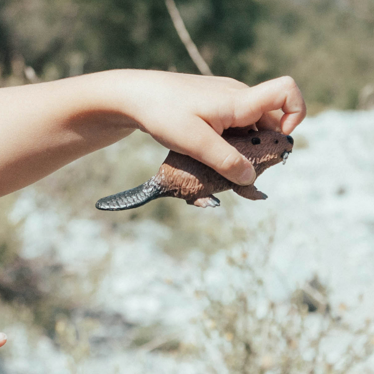 Figurină realistă castor  – Safari Ltd
